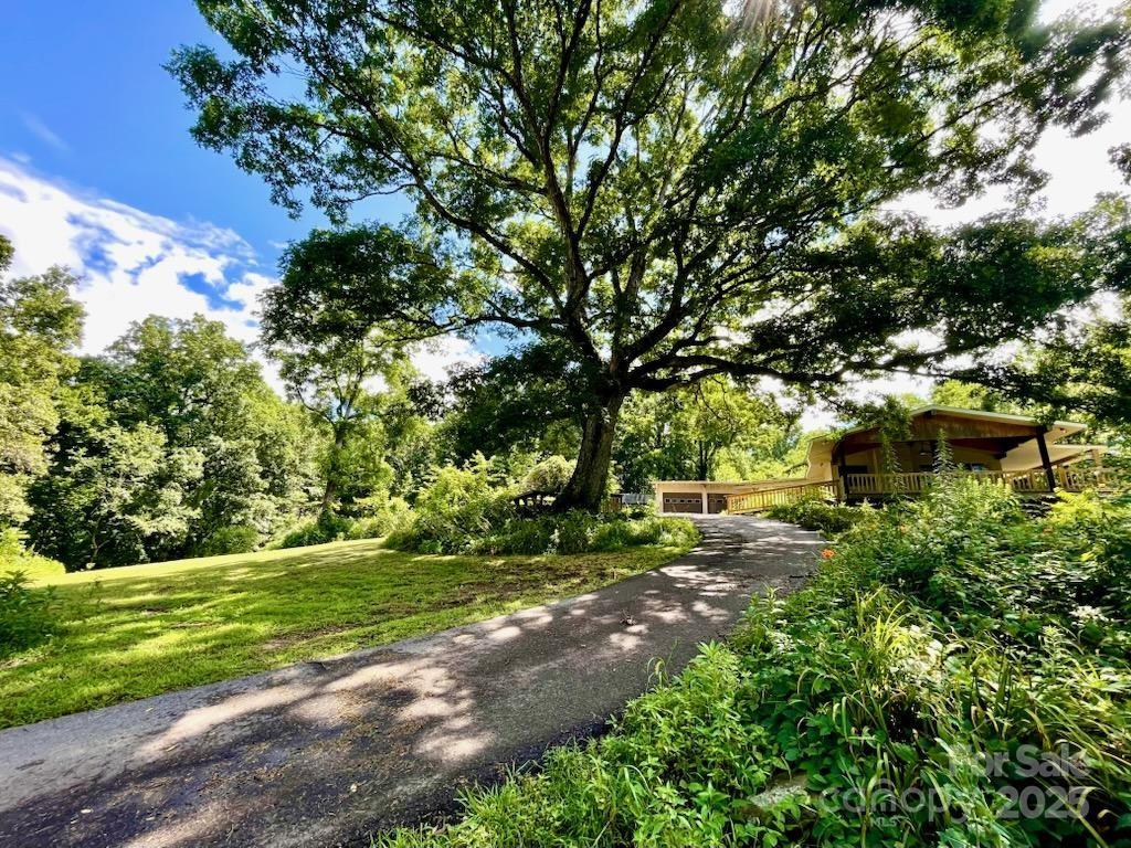 19 Old Patton Hill Road Swannanoa, NC 28778 - Photo 22 of 44 a backyard of a house with lots of green space