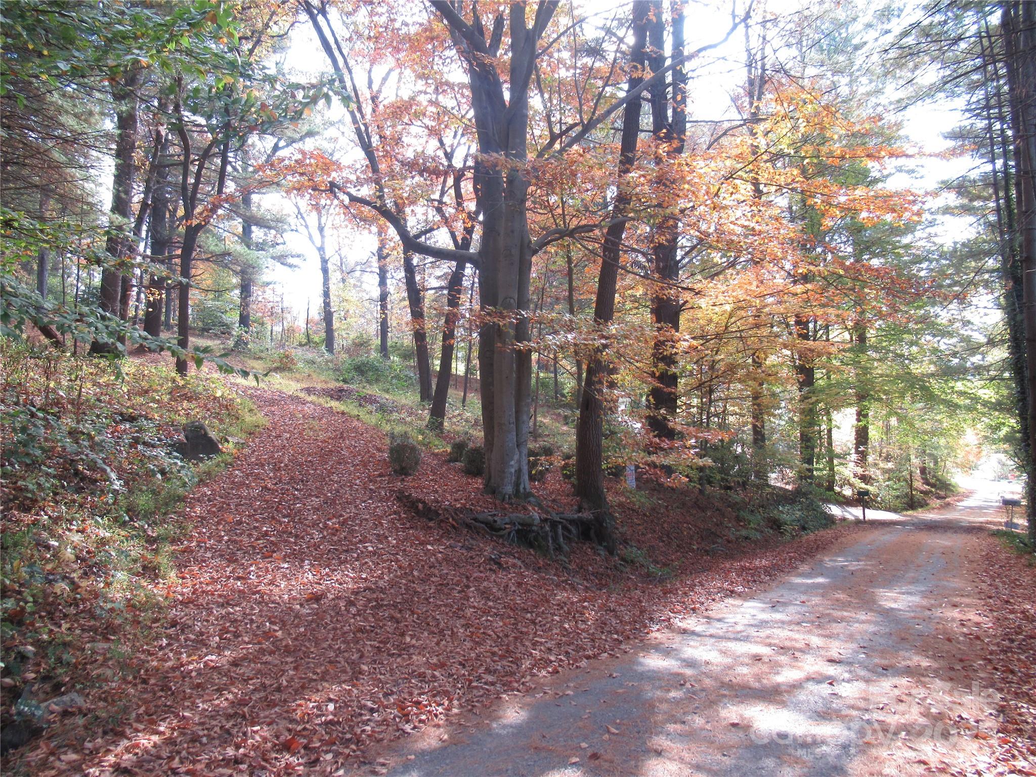 19 Old Patton Hill Road Swannanoa, NC 28778 - Photo 30 of 44 a backyard of a house with lots of green space