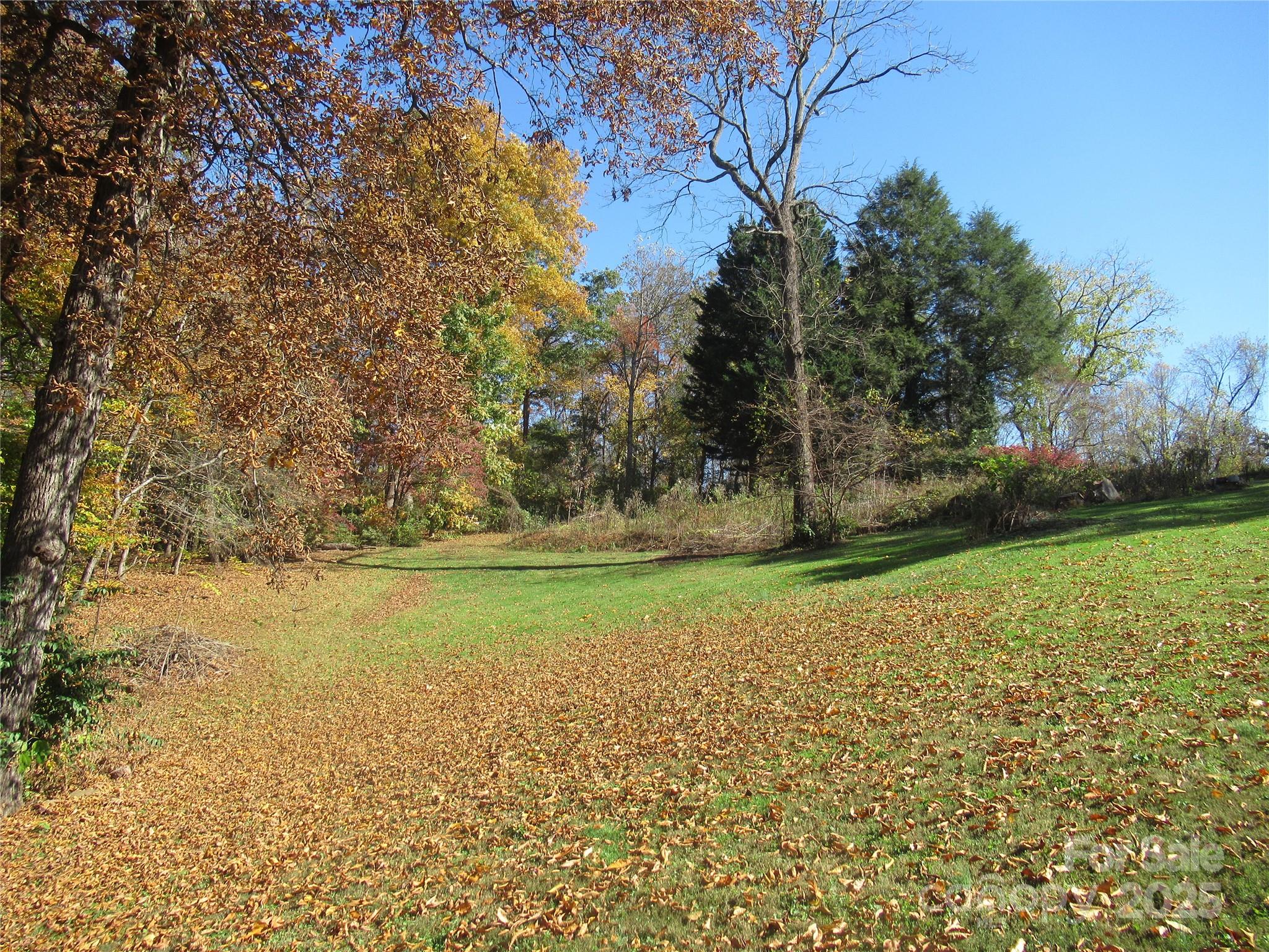 19 Old Patton Hill Road Swannanoa, NC 28778 - Photo 34 of 44 a view of a yard with an trees