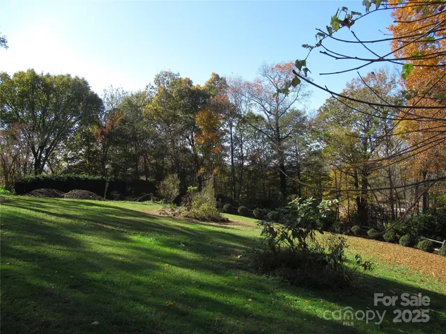 a view of backyard with green space