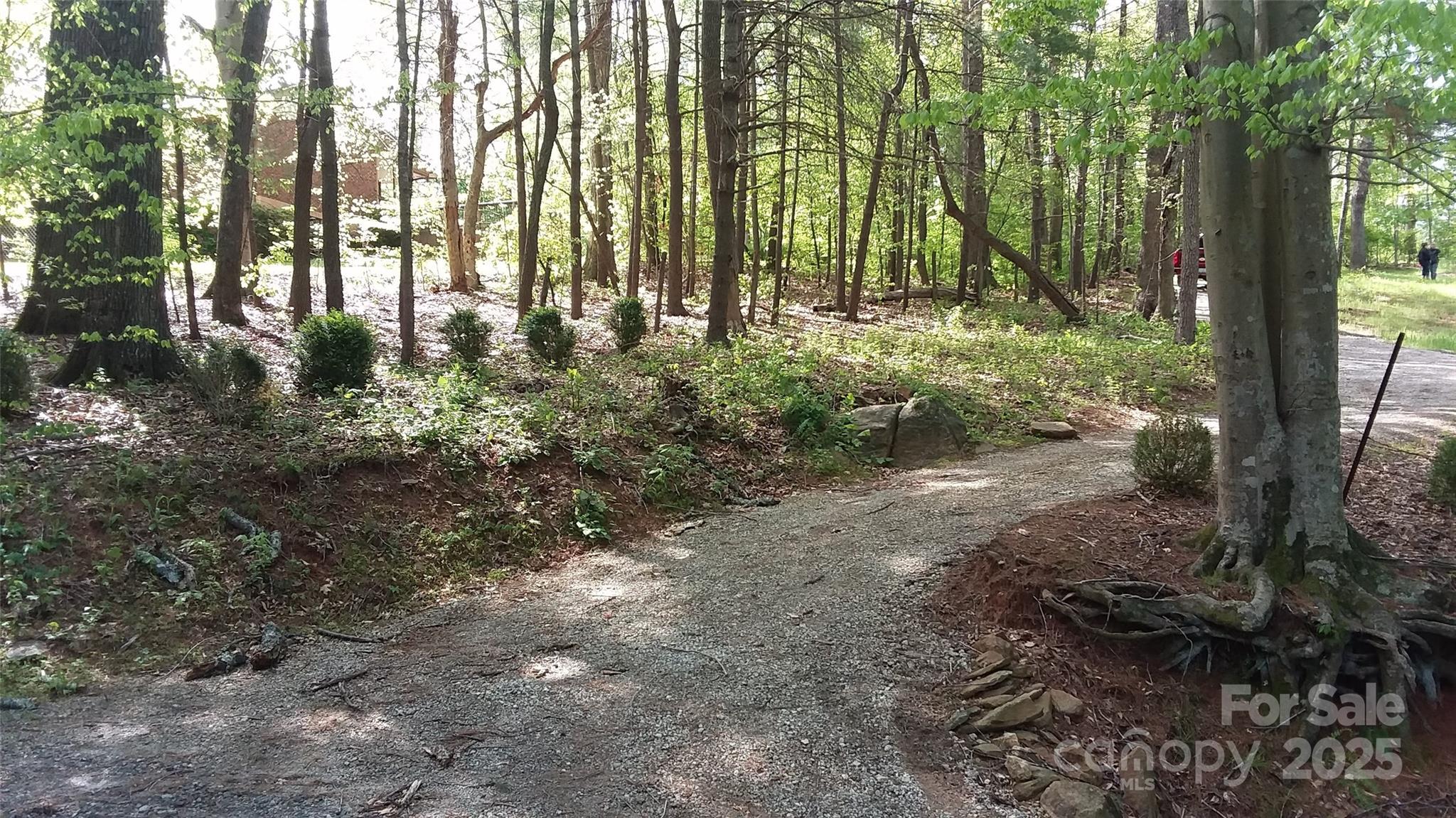 19 Old Patton Hill Road Swannanoa, NC 28778 - Photo 38 of 44 a view of backyard with green space