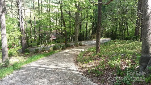 a view of a wooden house with large trees