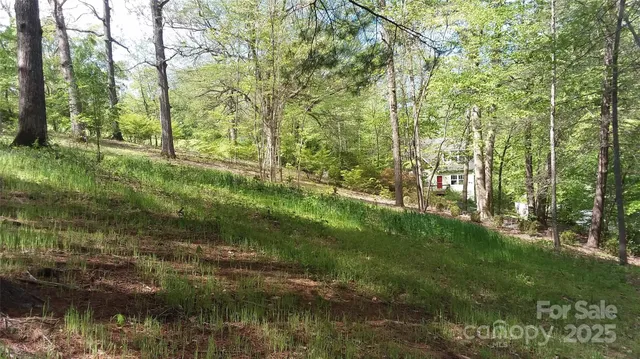 a view of a lush green hillside and a mountain