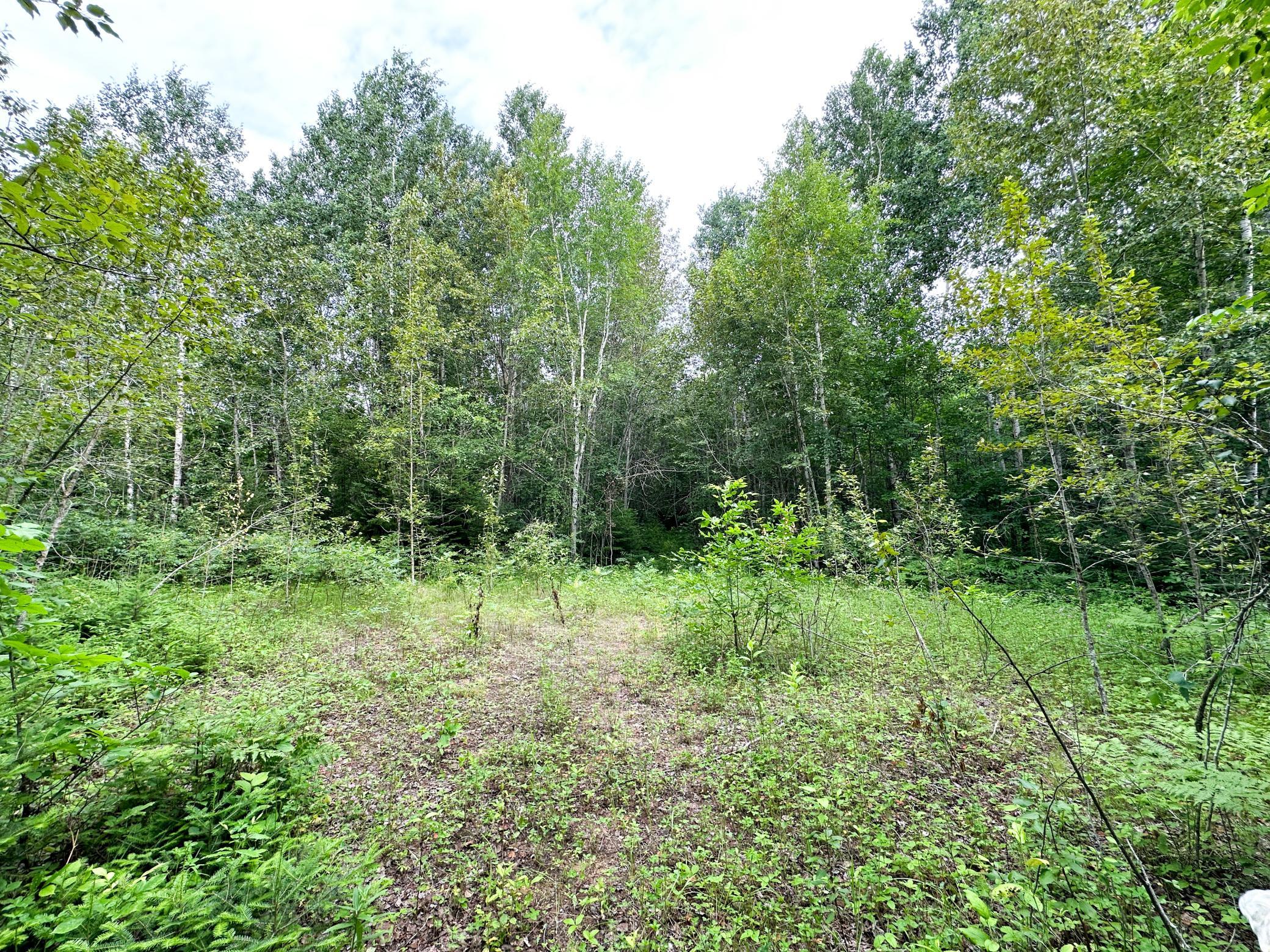 38953 Ada Beach Road Ponsford, MN 56575 - Photo 23 of 94