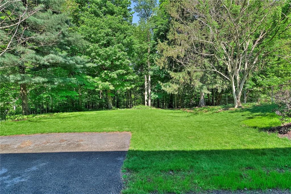 1131 Harvard Road Monroeville, PA 15146 - Photo 23 of 25 Back yard