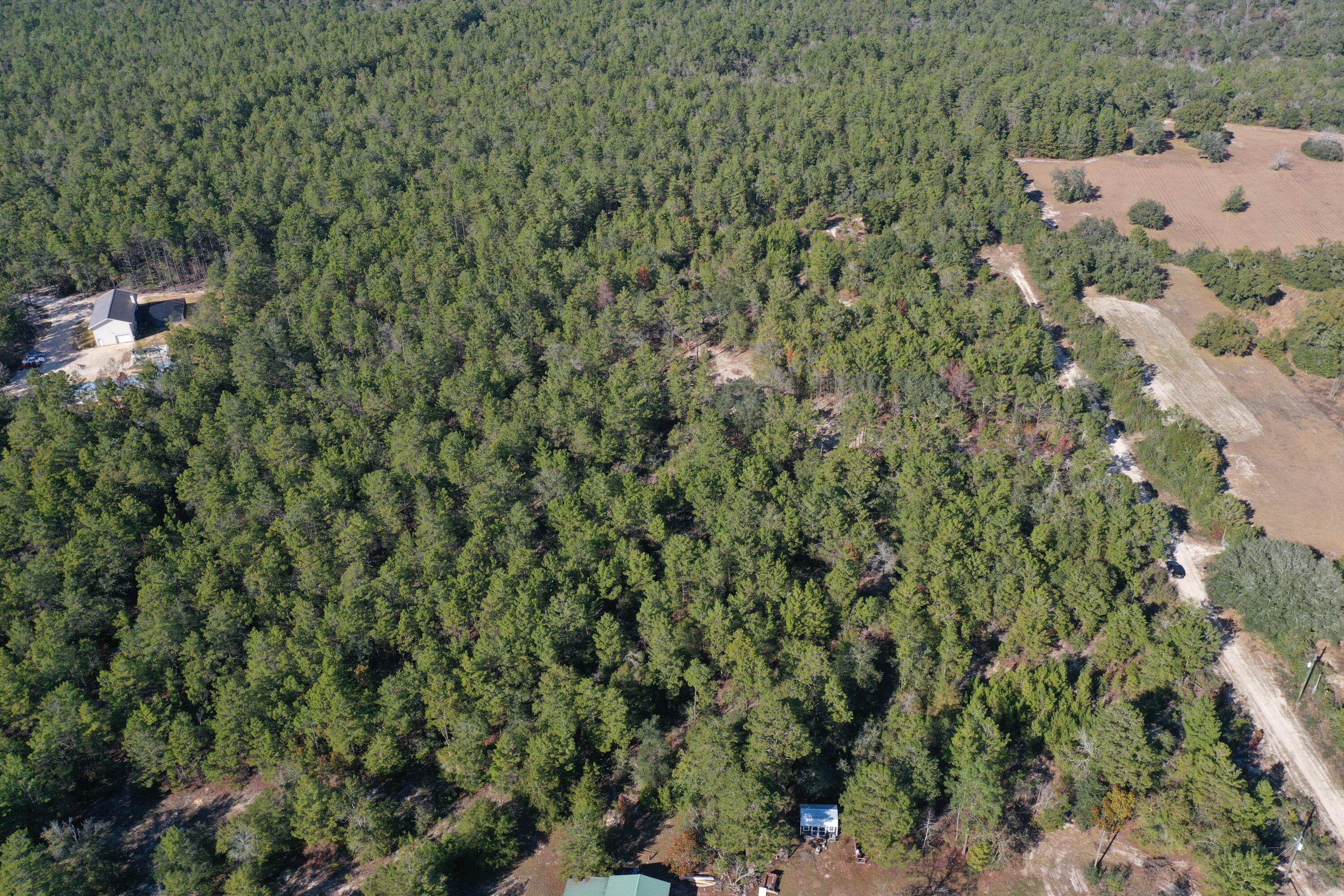 Xx Hannah Branch Road Crestview, FL 32539 - Photo 1 of 16 DJI_0378