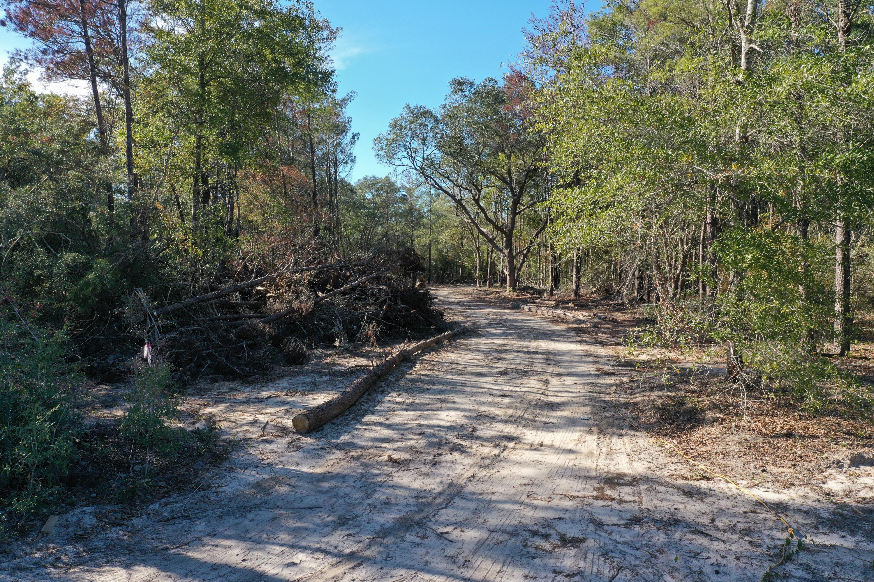 Xx Hannah Branch Road Crestview, FL 32539 - Photo 13 of 16 DJI_0388