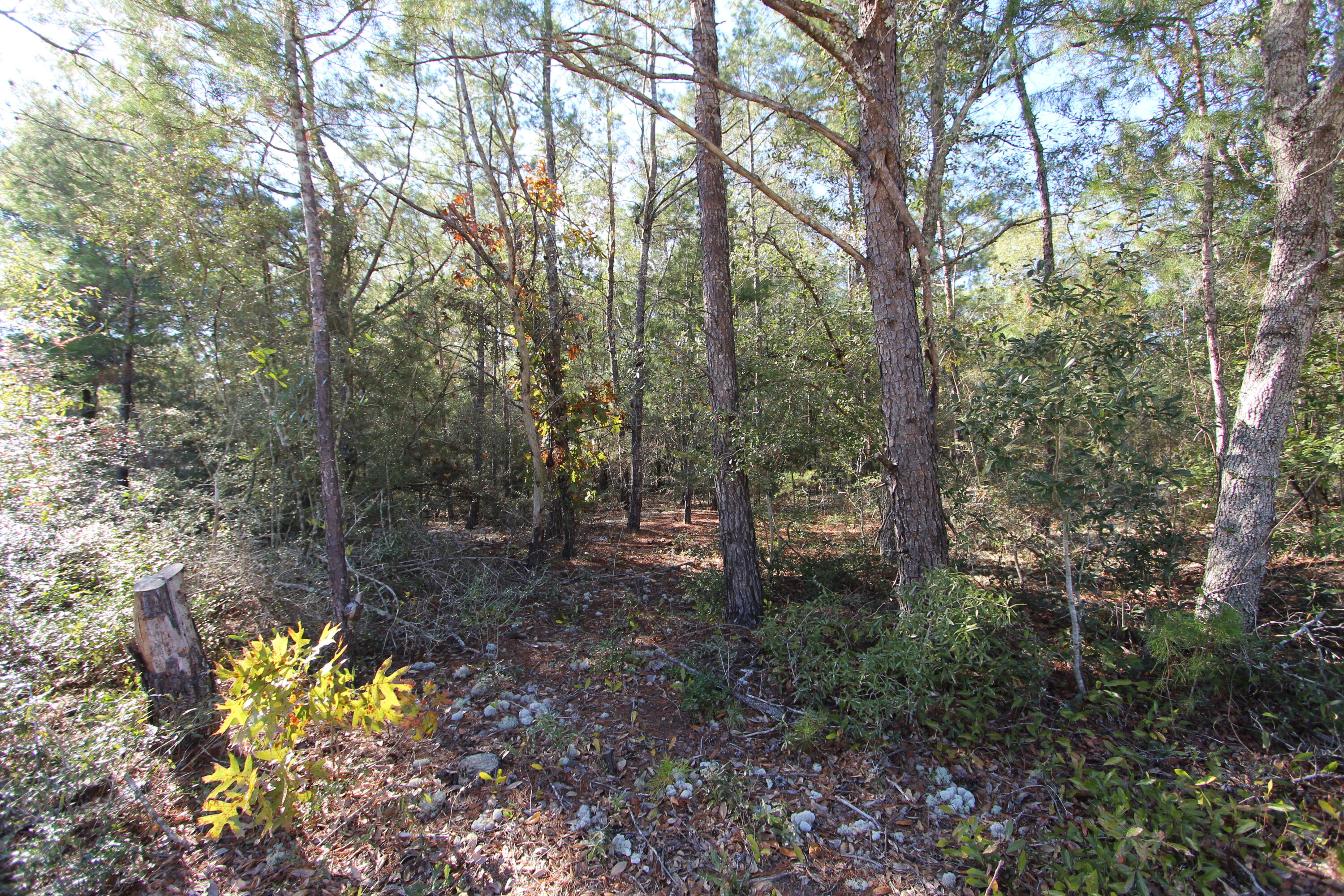 Xx Hannah Branch Road Crestview, FL 32539 - Photo 14 of 16 IMG_9721
