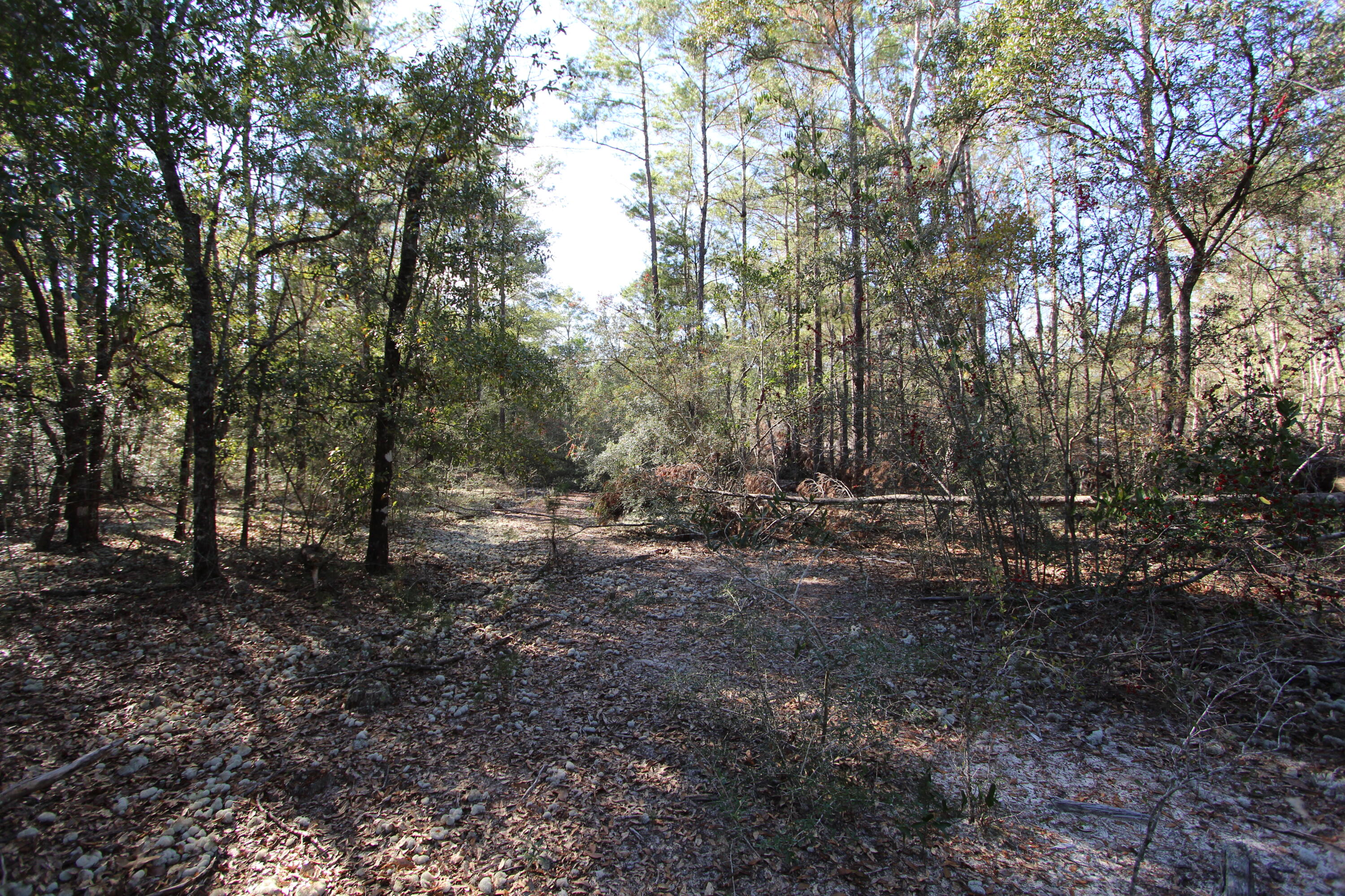 Xx Hannah Branch Road Crestview, FL 32539 - Photo 16 of 16 IMG_9724