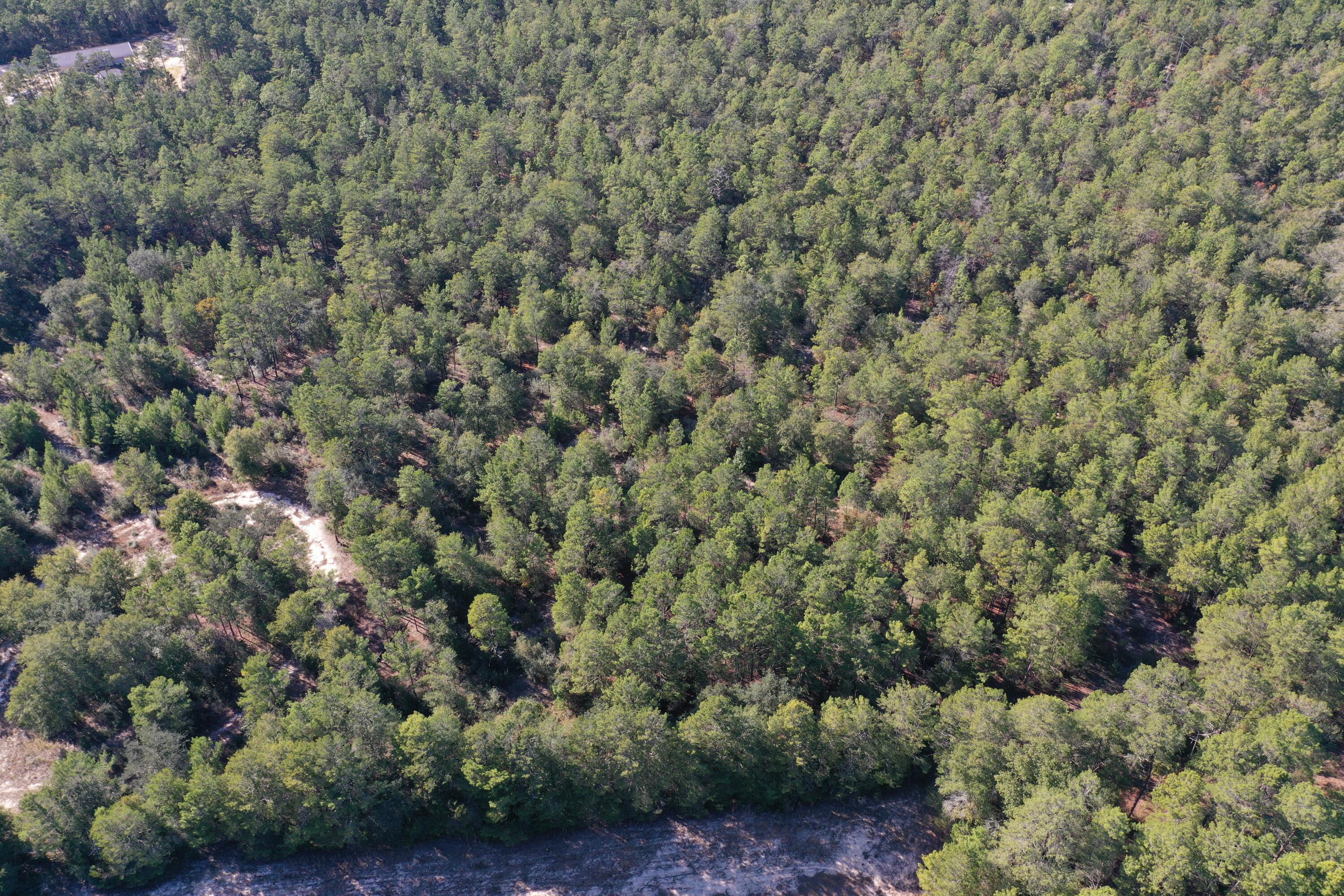 Xx Hannah Branch Road Crestview, FL 32539 - Photo 2 of 16 DJI_0366