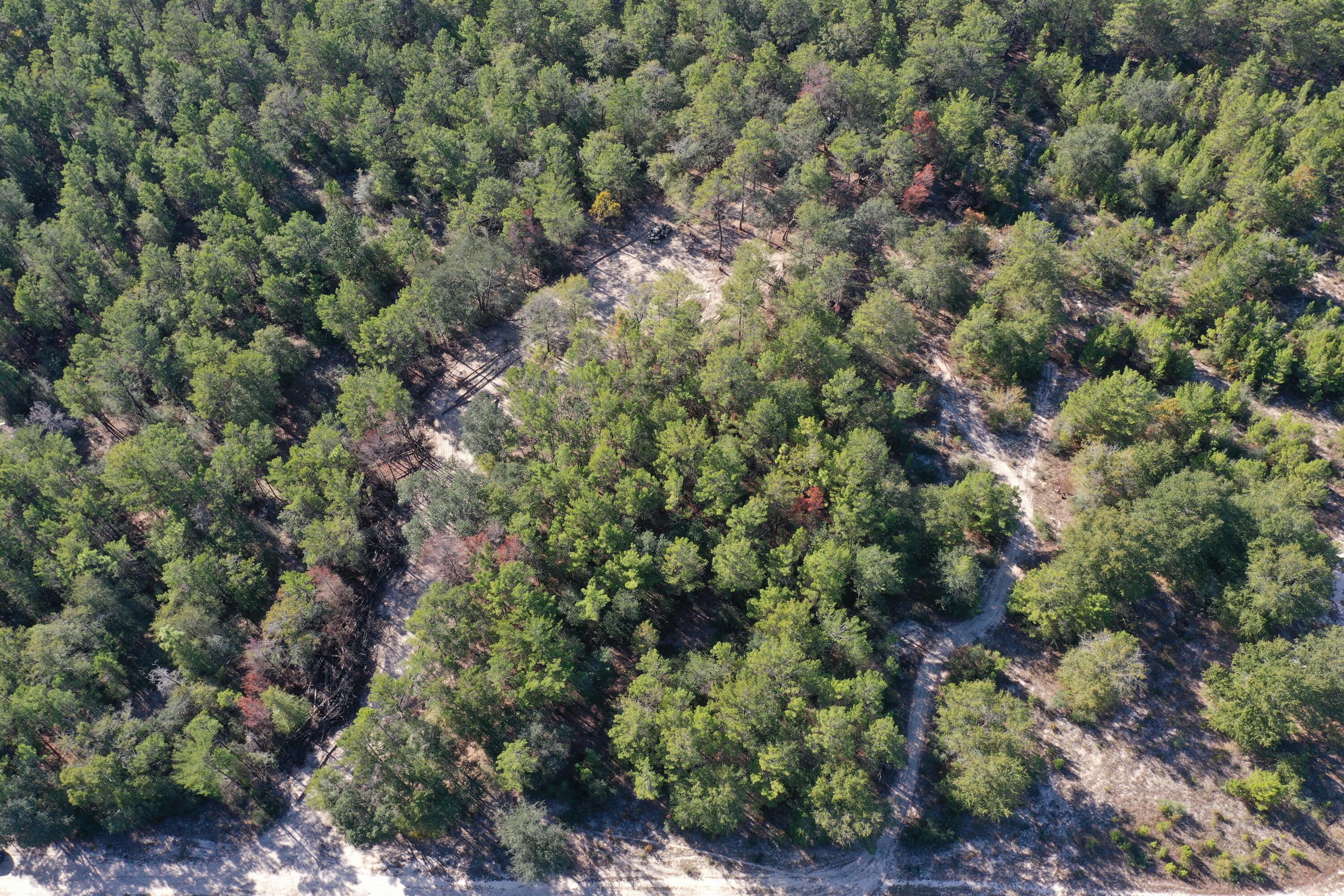 Xx Hannah Branch Road Crestview, FL 32539 - Photo 5 of 16 DJI_0372