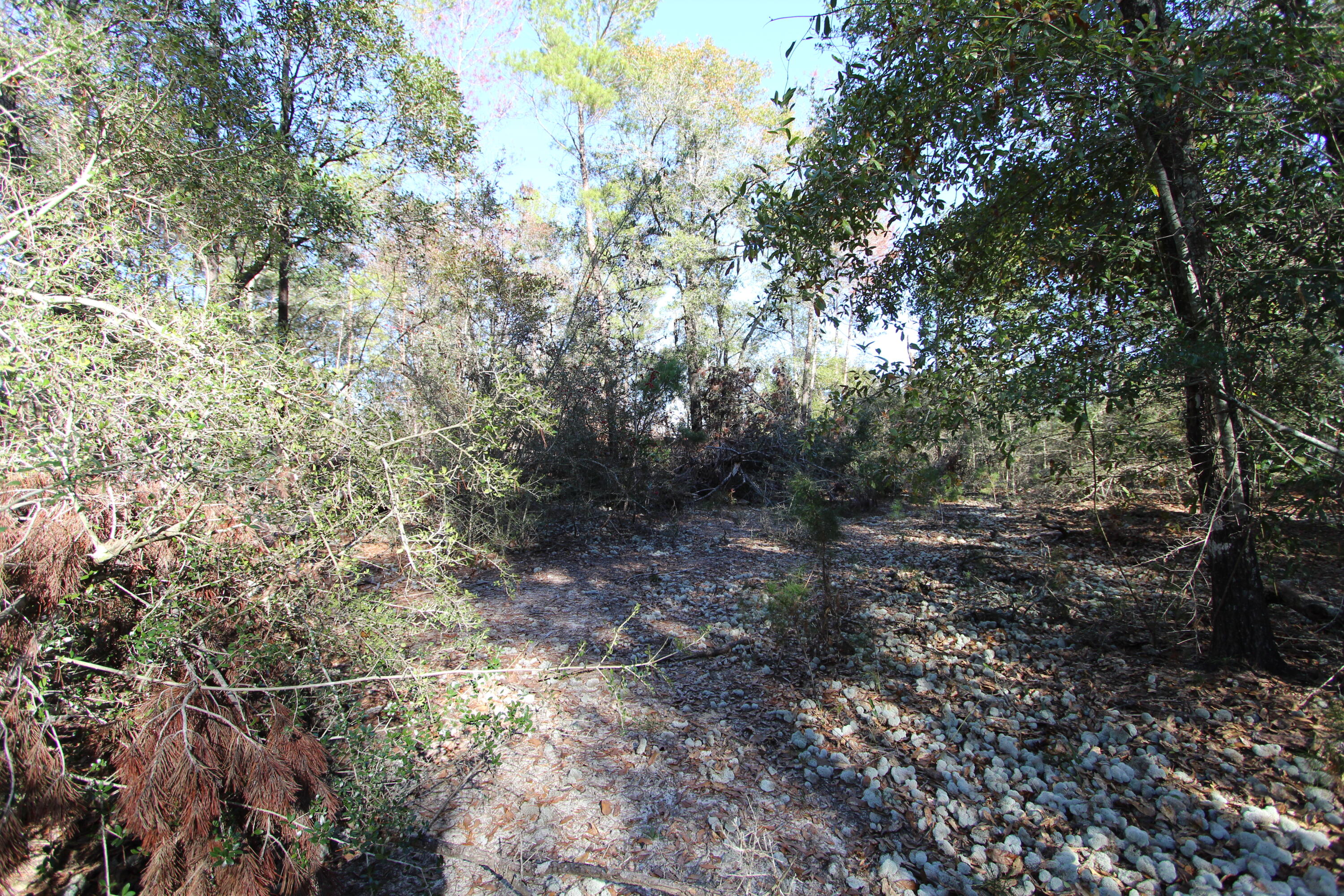 Xx Hannah Branch Road Crestview, FL 32539 - Photo 6 of 16 IMG_9725