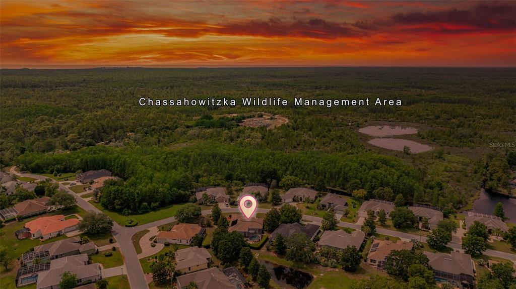 8308 Mobile Circle Weeki Wachee, FL 34613 - Photo 40 of 61