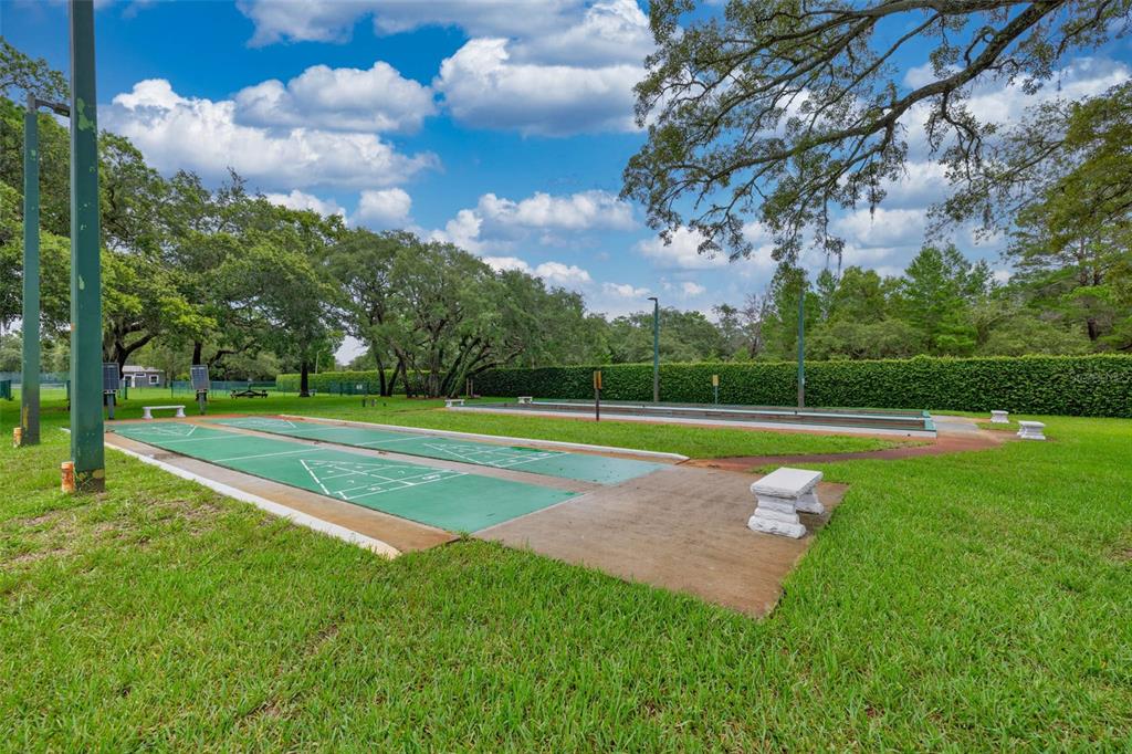 8308 Mobile Circle Weeki Wachee, FL 34613 - Photo 50 of 61