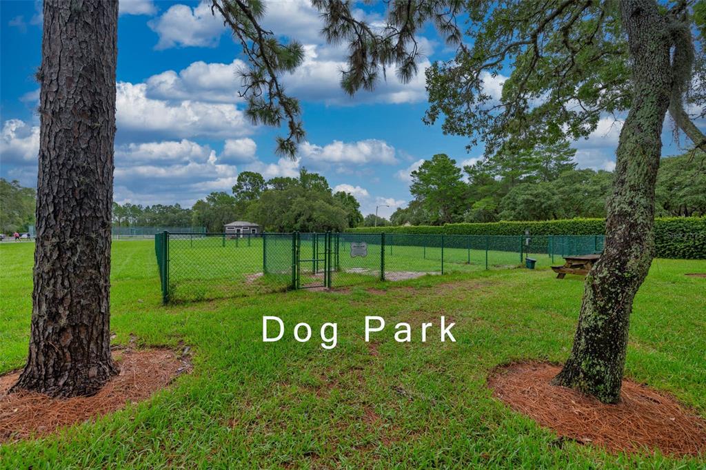 8308 Mobile Circle Weeki Wachee, FL 34613 - Photo 55 of 61