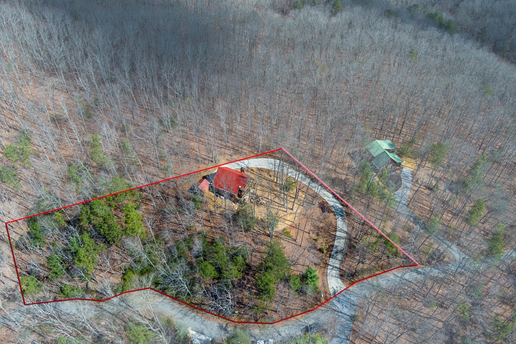 494 Lower Prince Mountain Road Cherry Log, GA 30522 - Photo 13 of 41 Gallery Image 13