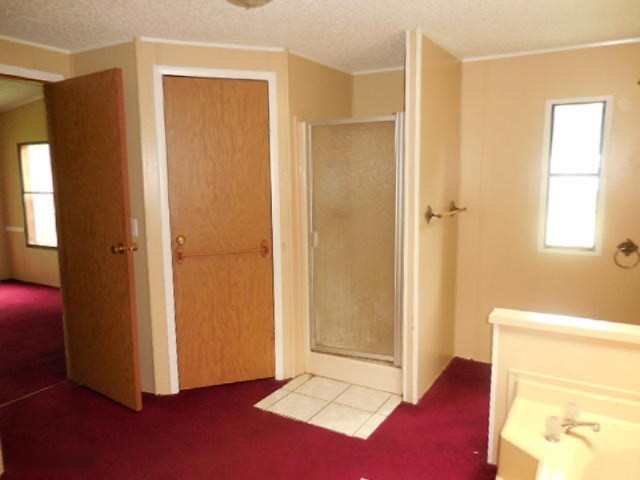 2005 Indian Road Portage, MI 49002 - Photo 12 of 27 263-358101-Bathroom1a