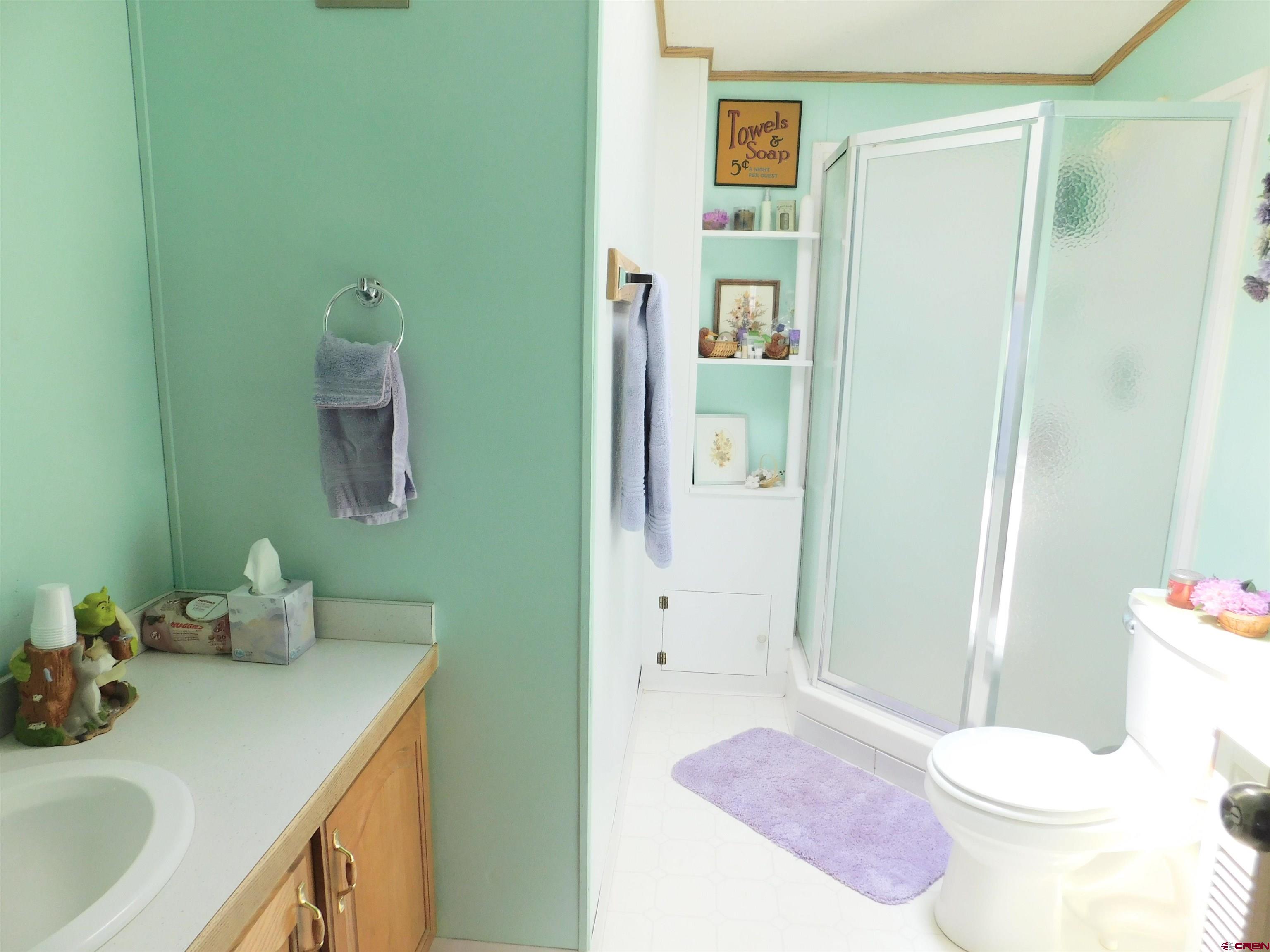 600 County Road 8F Egnar, CO 81325 - Photo 16 of 45 a bathroom with a sink a toilet and shower