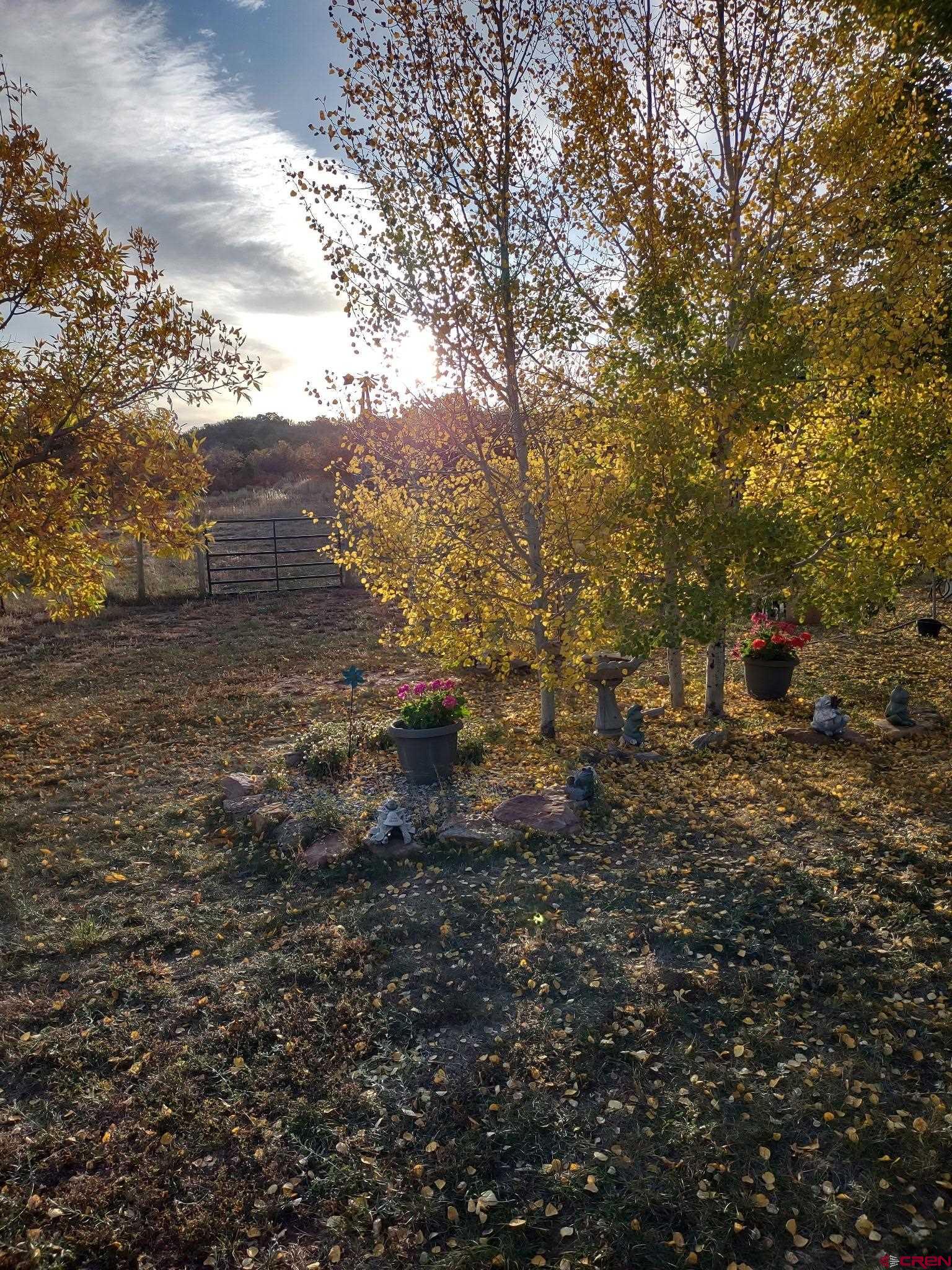 600 County Road 8F Egnar, CO 81325 - Photo 20 of 45 a view of a yard