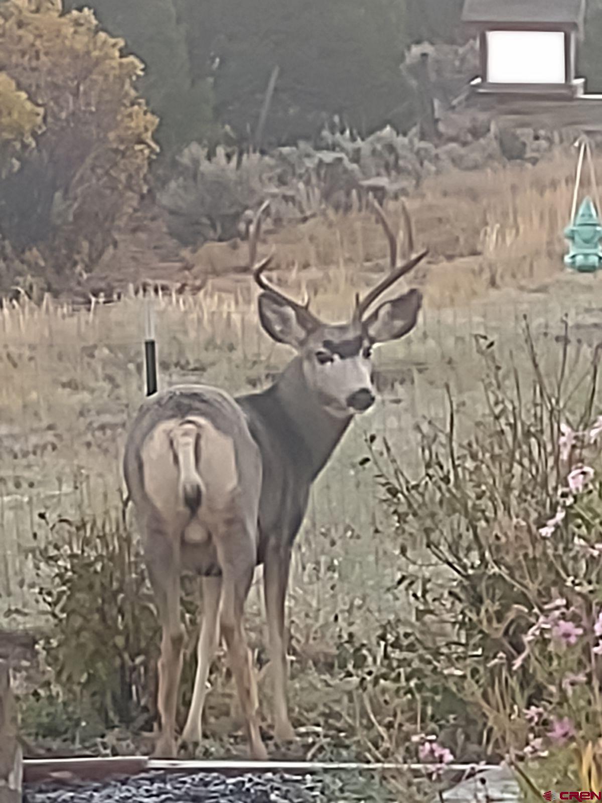 600 County Road 8F Egnar, CO 81325 - Photo 21 of 45 a picture of a bathroom with a sink