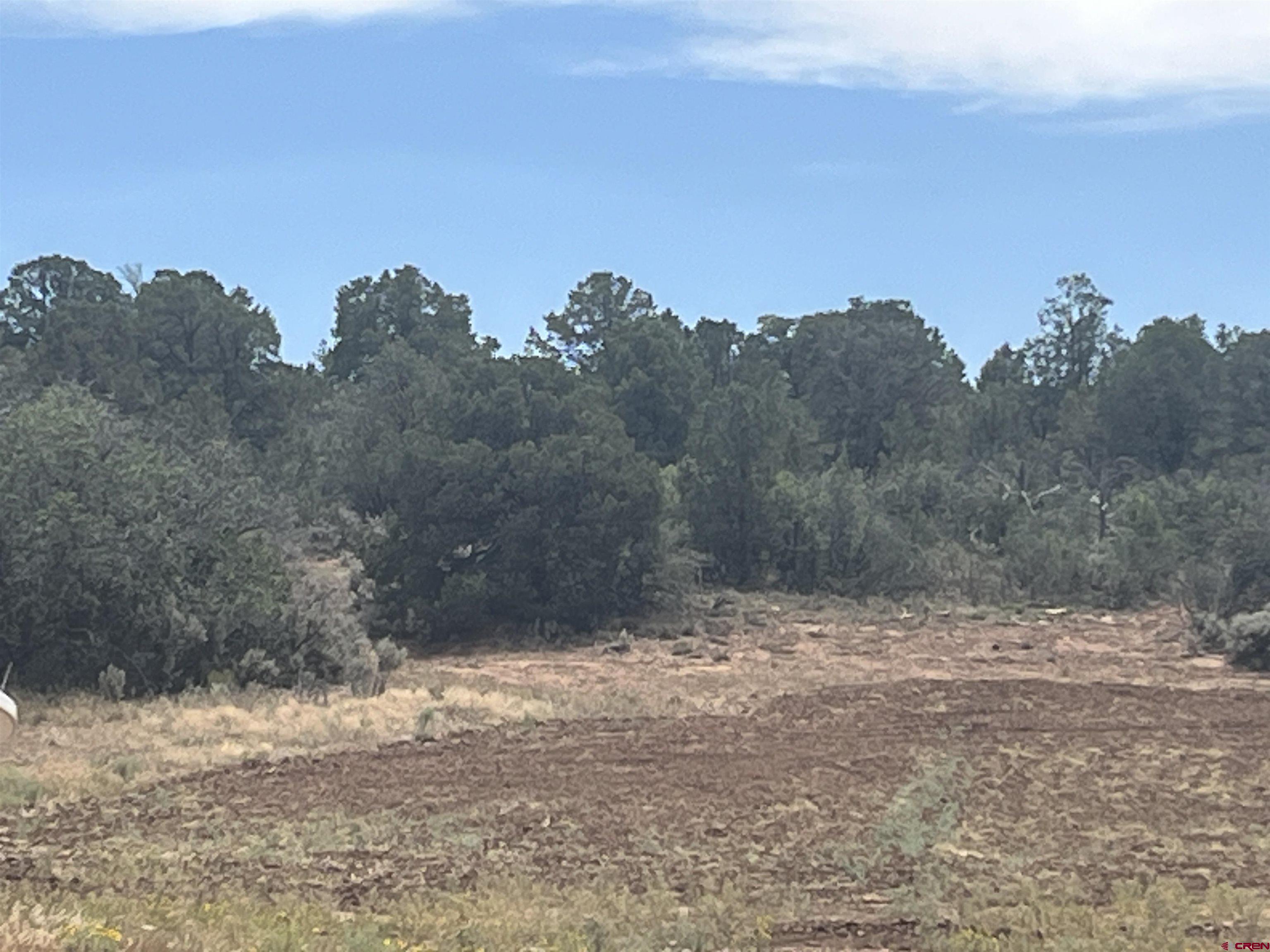 600 County Road 8F Egnar, CO 81325 - Photo 24 of 45