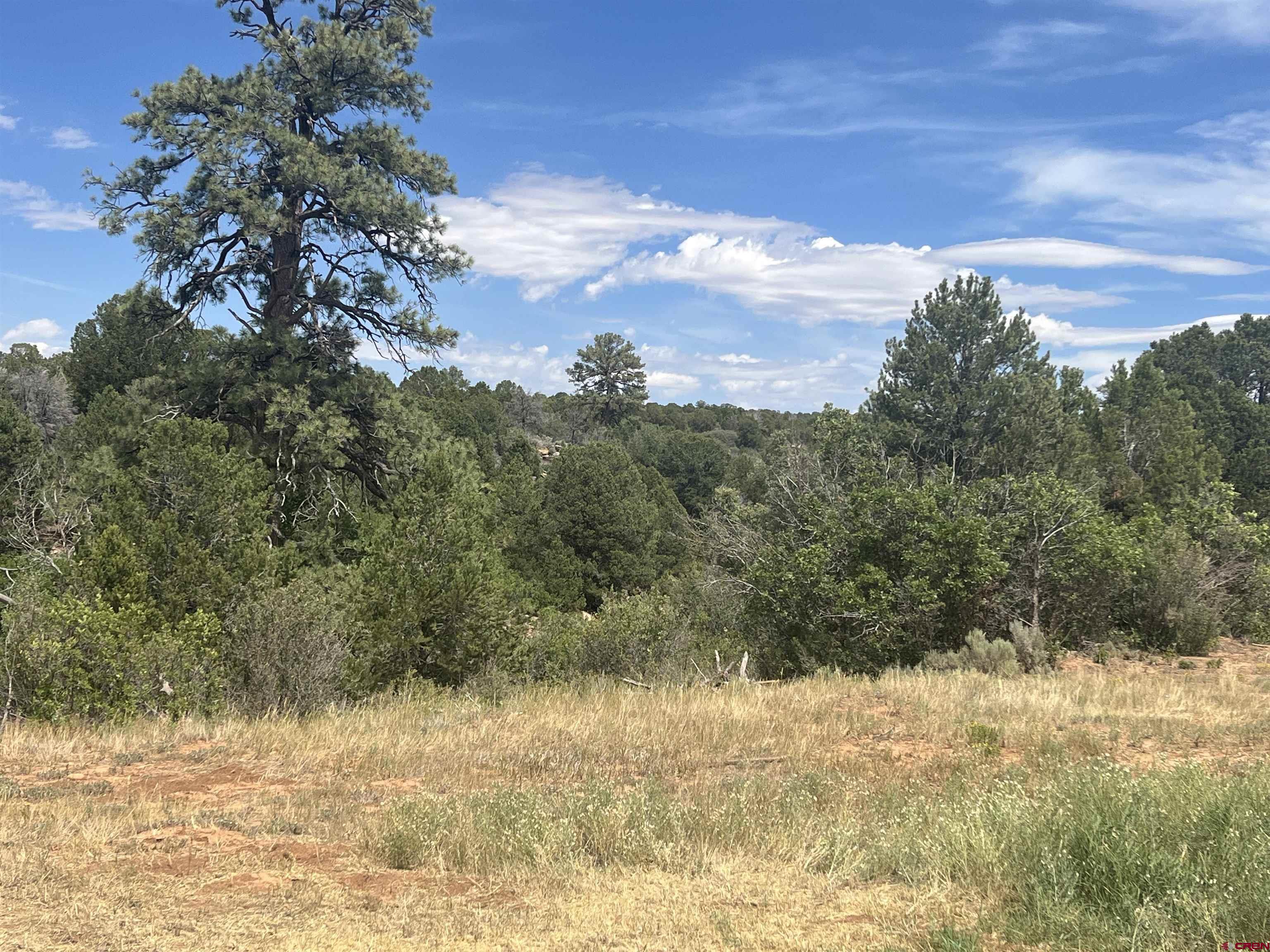 600 County Road 8F Egnar, CO 81325 - Photo 26 of 45 a view of a yard covered with snow