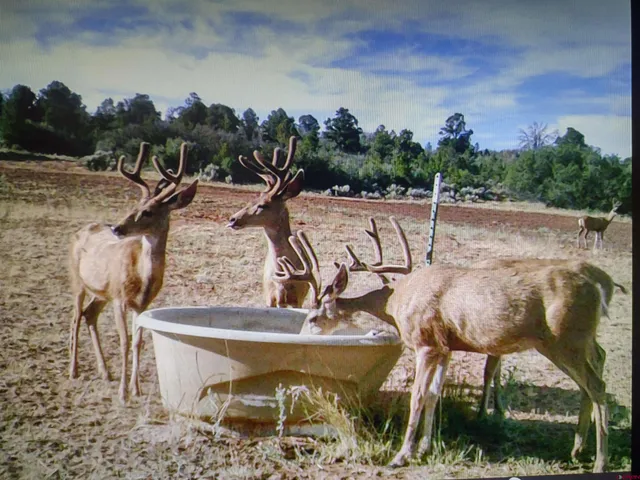 a view of a swimming pool with a yard
