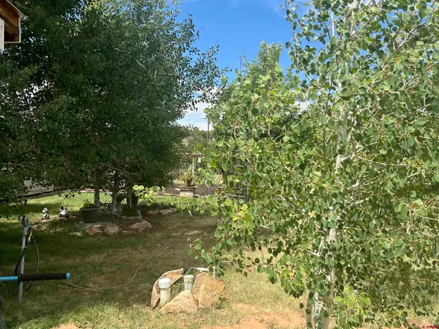 a backyard of a house with lots of green space