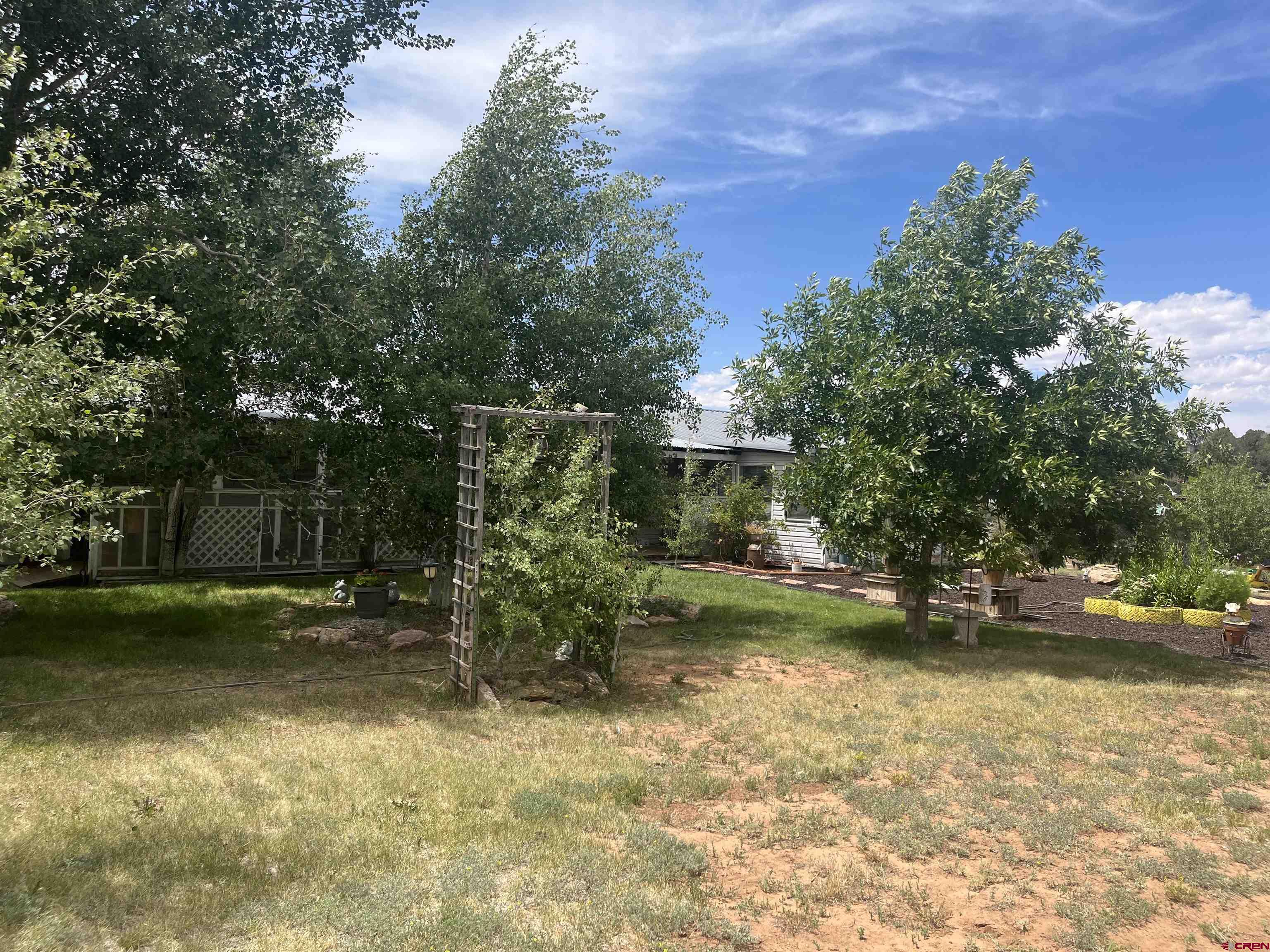 600 County Road 8F Egnar, CO 81325 - Photo 35 of 45 a view of a yard with large trees
