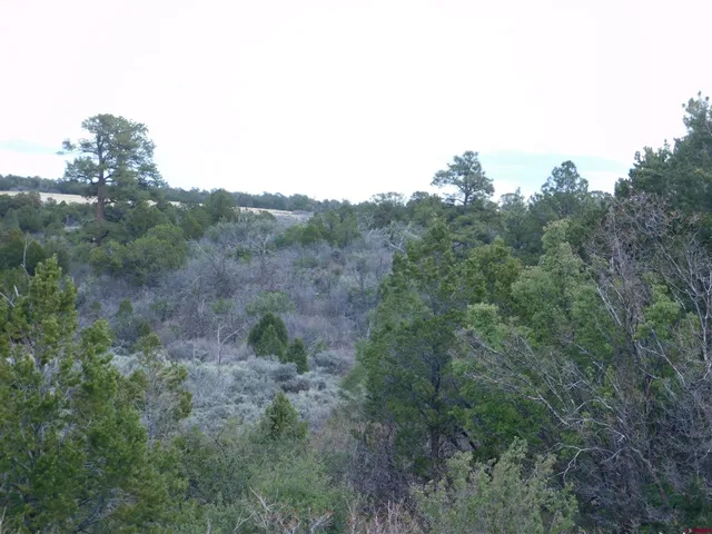 an aerial view of field