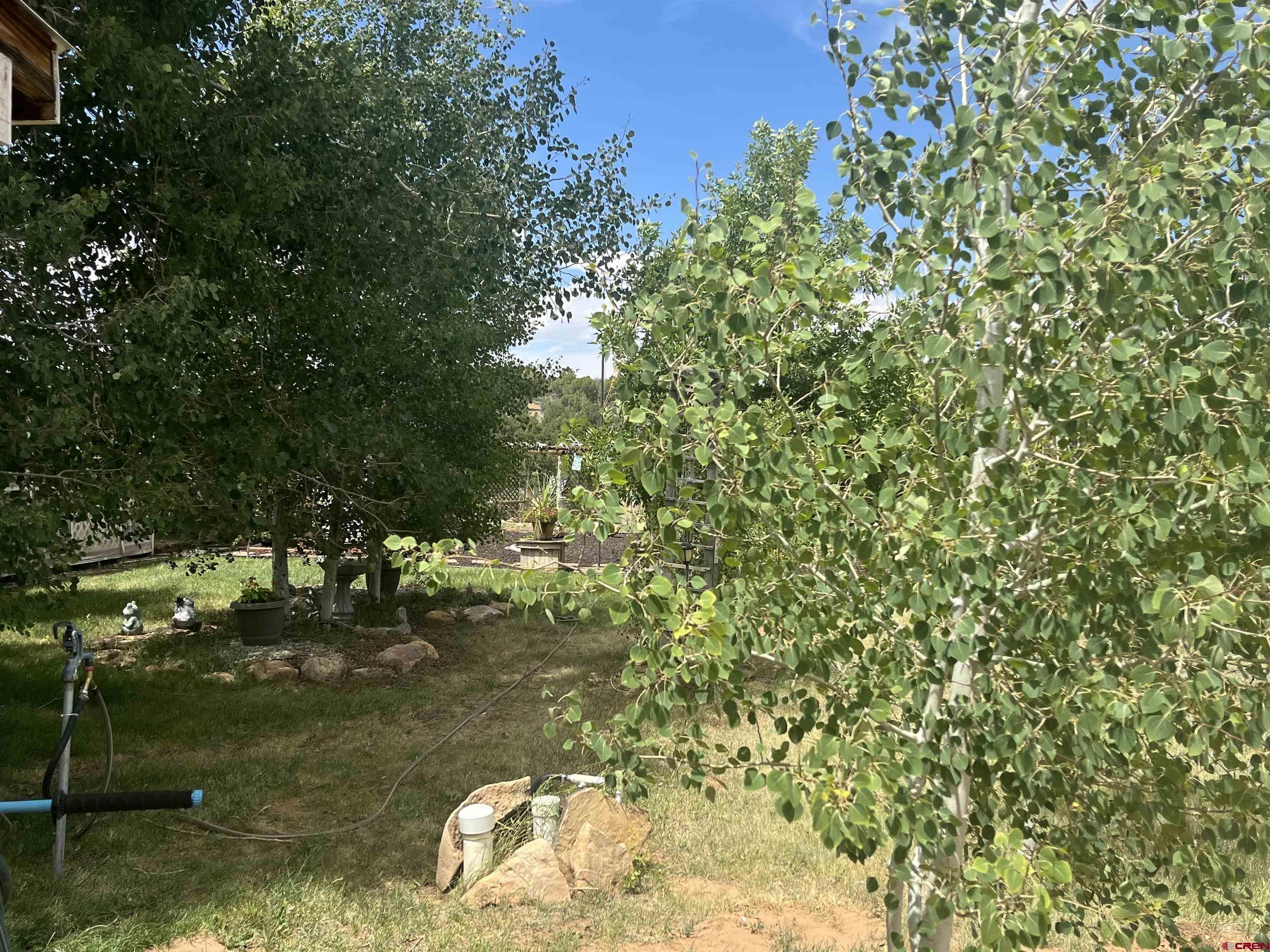 600 County Road 8F Egnar, CO 81325 - Photo 37 of 45 a view of a small yard