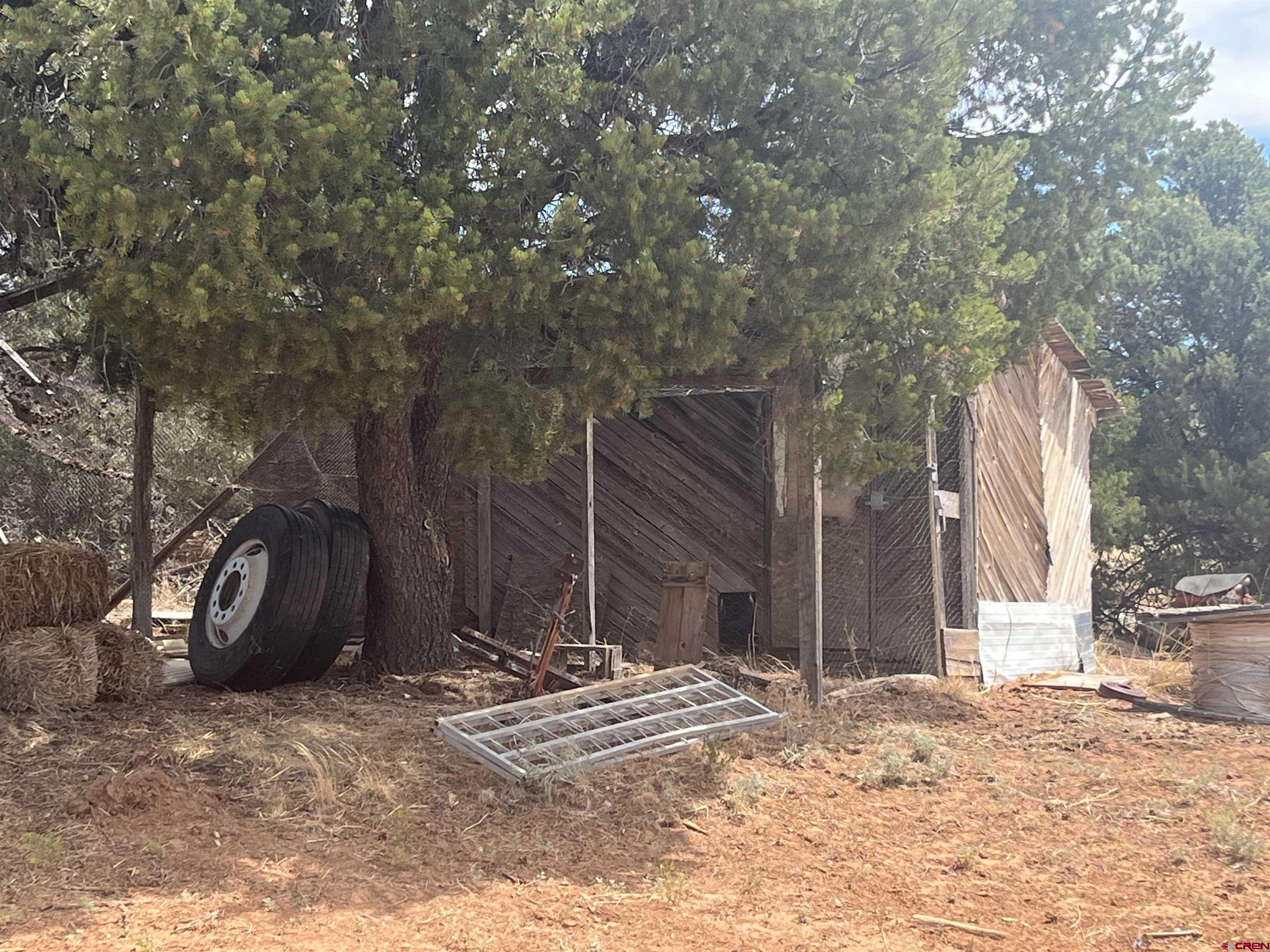 600 County Road 8F Egnar, CO 81325 - Photo 39 of 45 a view of a barn in the middle of a yard