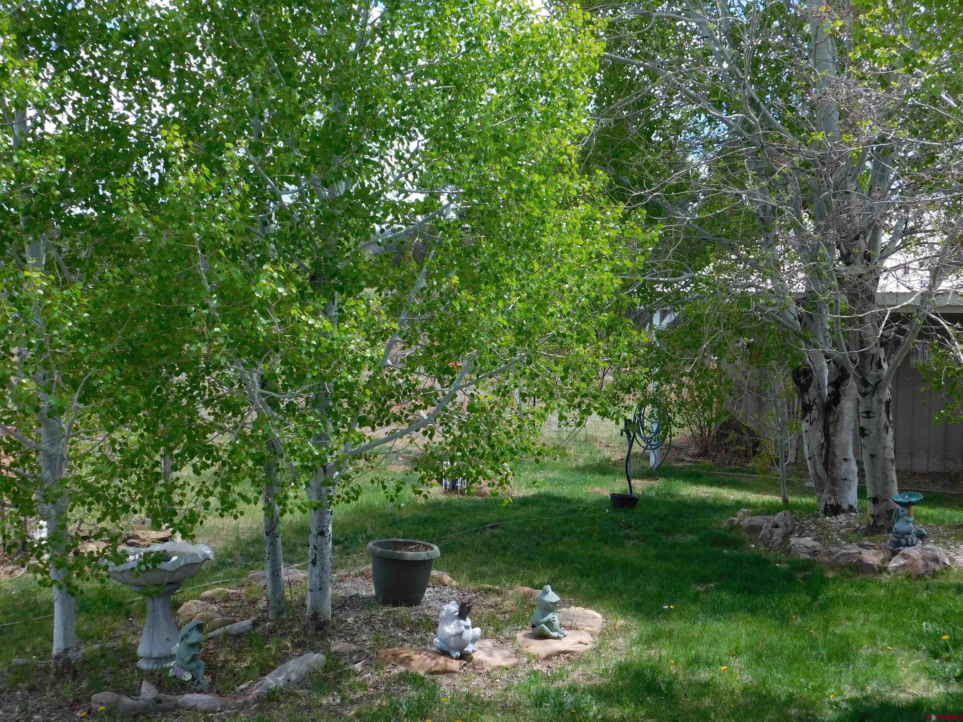 600 County Road 8F Egnar, CO 81325 - Photo 41 of 45 a backyard of a house with lots of green space