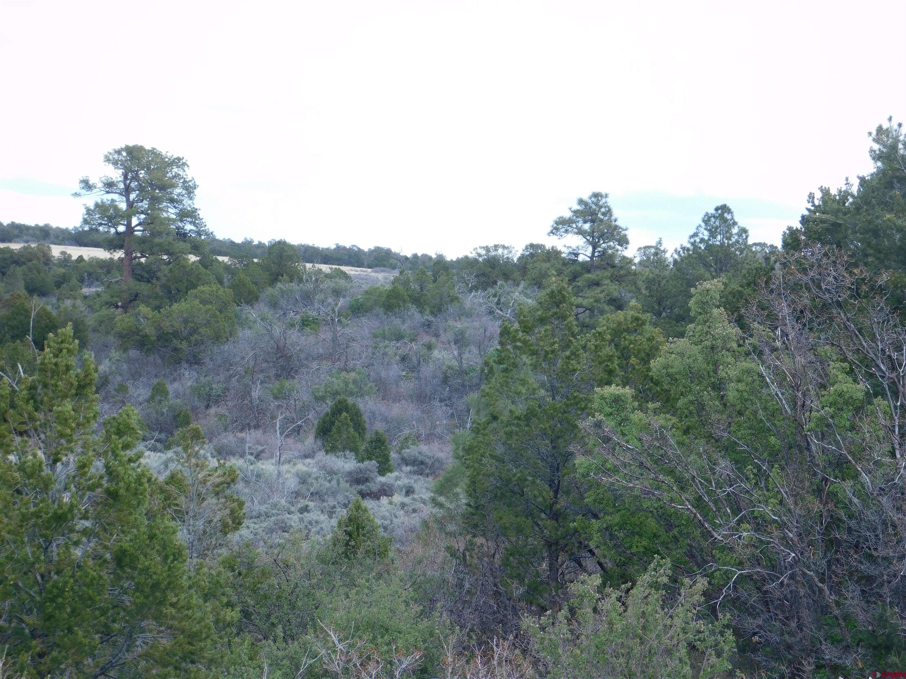 600 County Road 8F Egnar, CO 81325 - Photo 42 of 45 a view of a valley