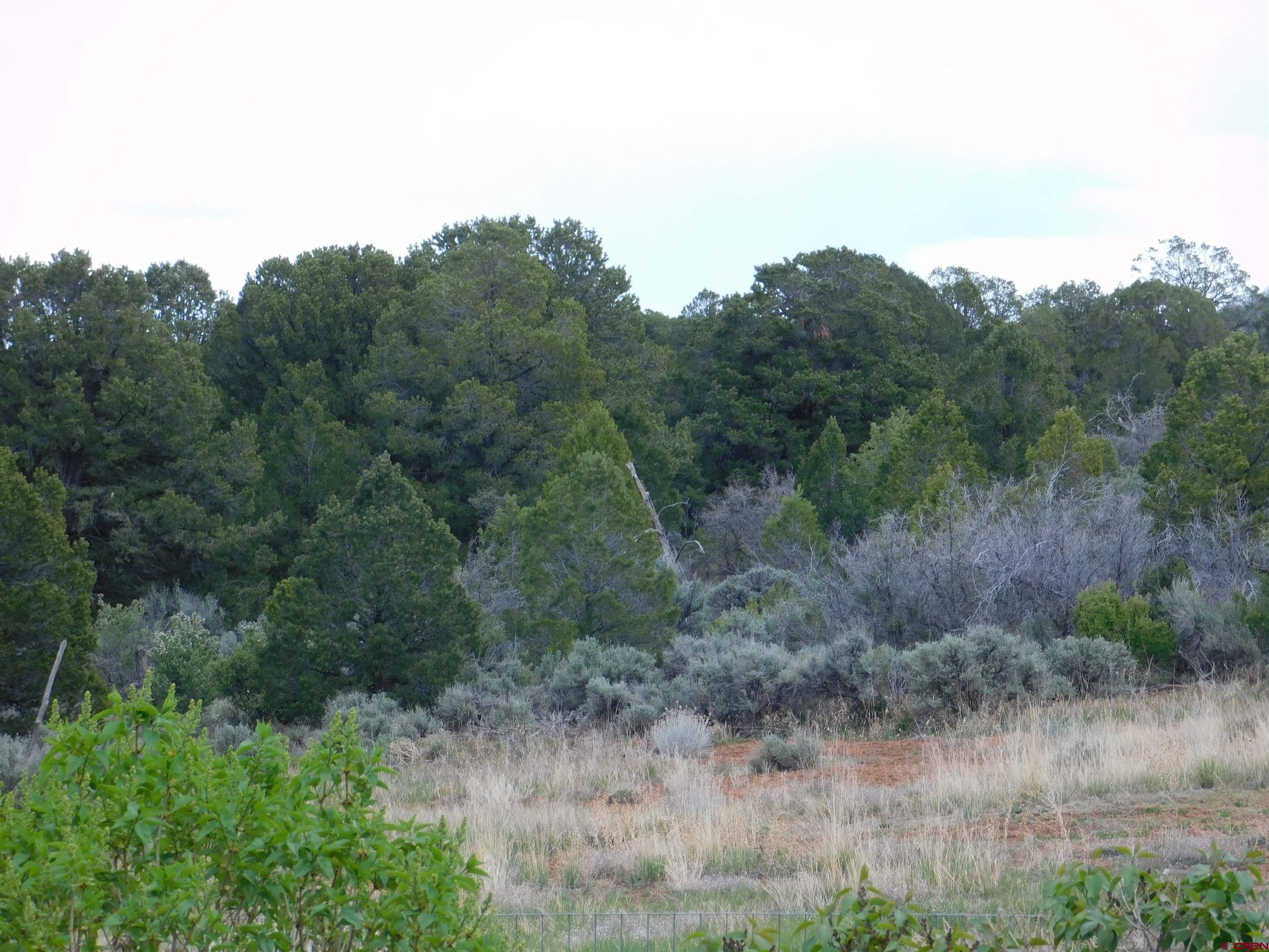 600 County Road 8F Egnar, CO 81325 - Photo 43 of 45 a view of a dry field