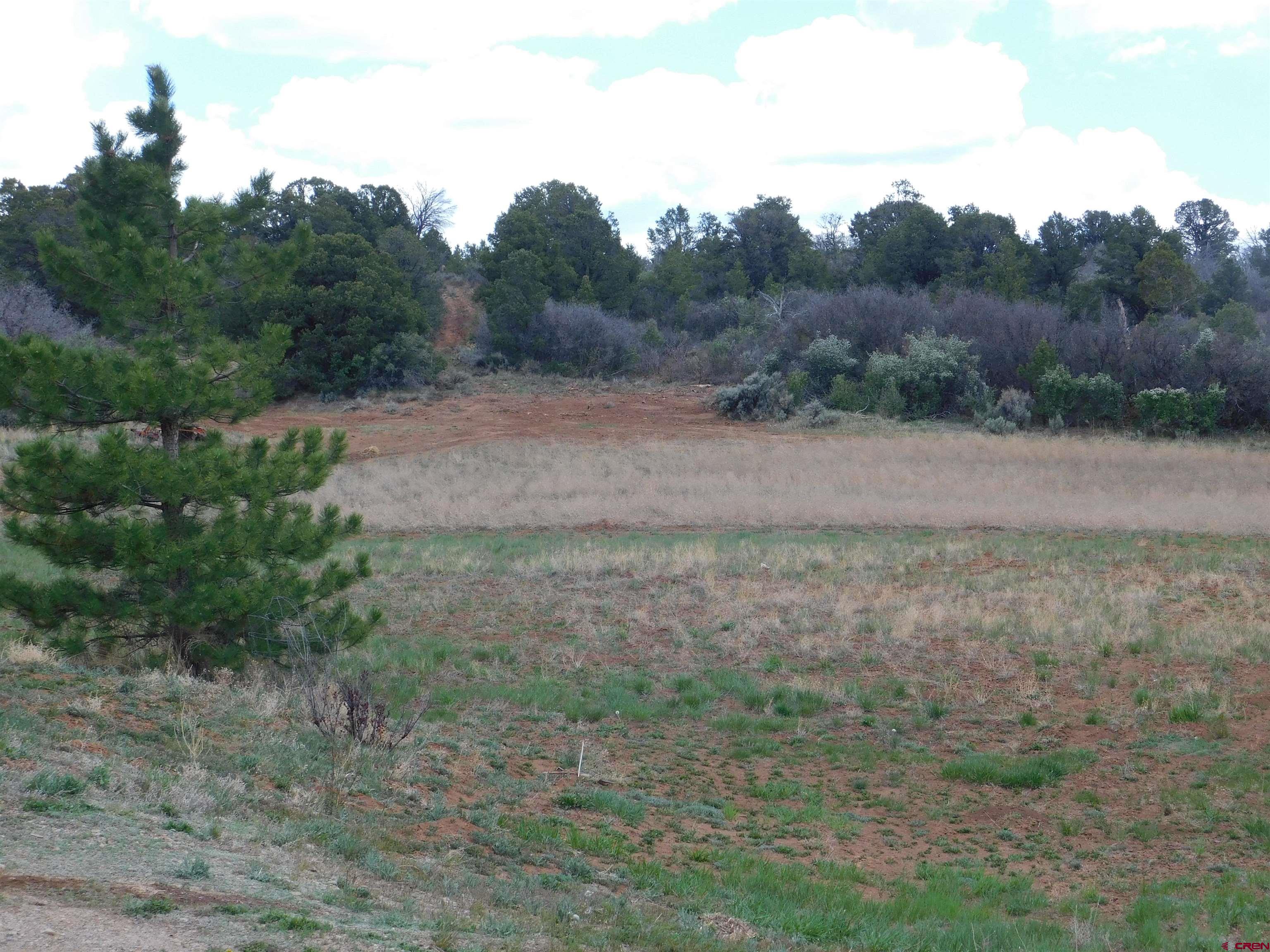 600 County Road 8F Egnar, CO 81325 - Photo 45 of 45 an aerial view of field