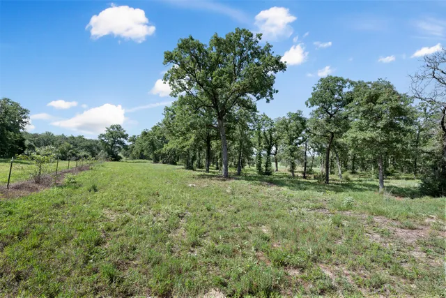 a view of a green field with lots of bushes