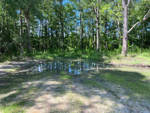 1997 Peirce Road Cottageville, SC 29435 - Photo 14 of 26 Side Yard