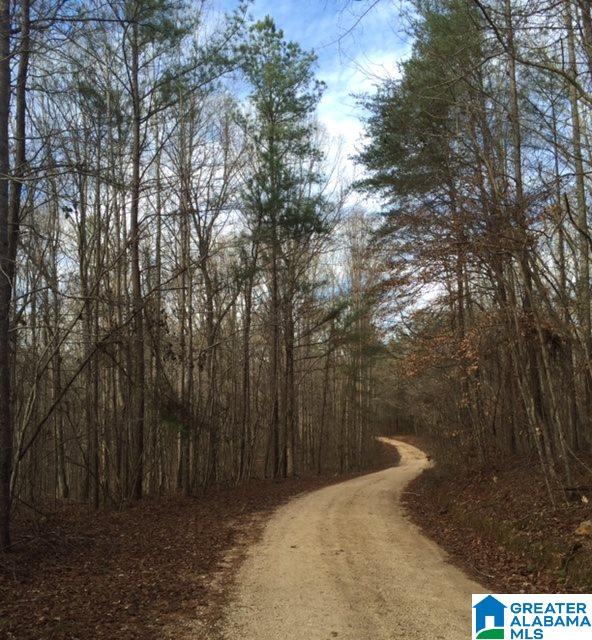 Story Road, Unit 201 Woodstock, AL 35188 - Photo 1 of 11