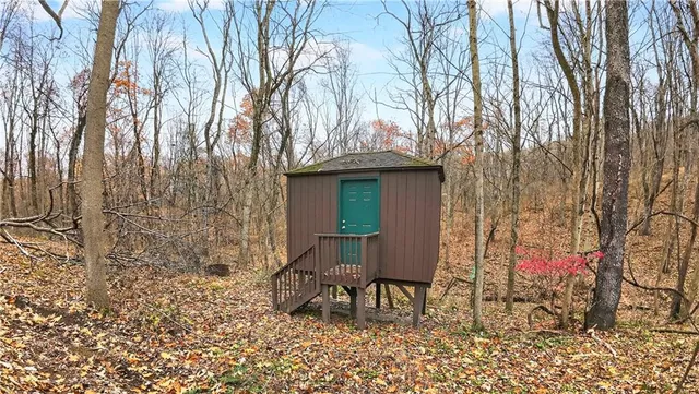 a view of a chairs and table in the backyard