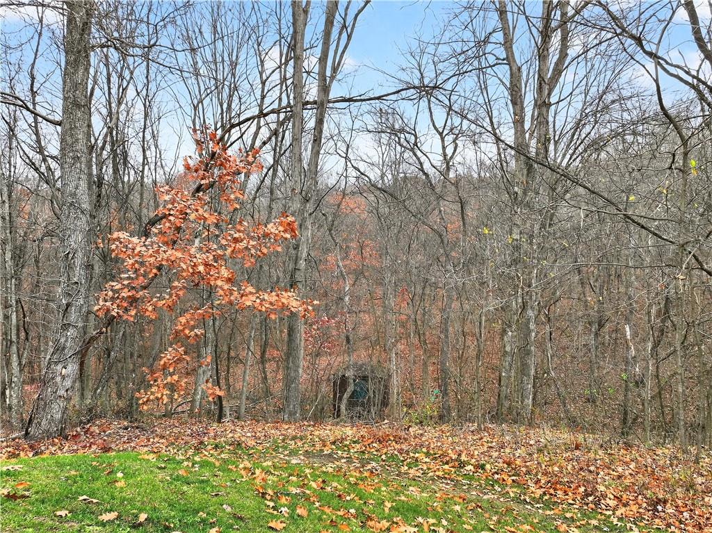 687 Old Millcreek Road Hookstown, PA 15050 - Photo 48 of 50 a view of a yard with trees