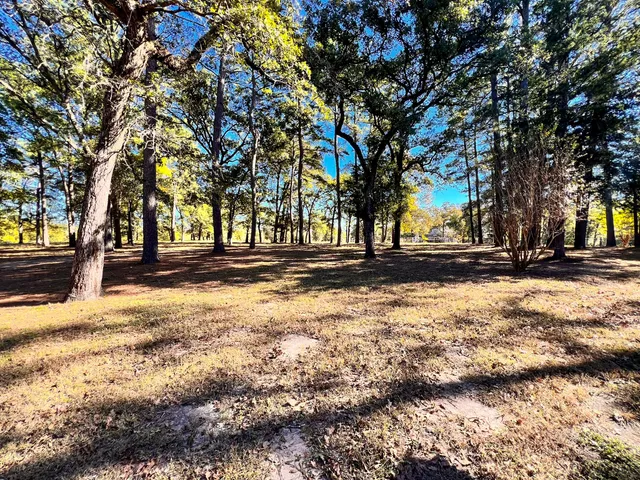 a view of yard with trees