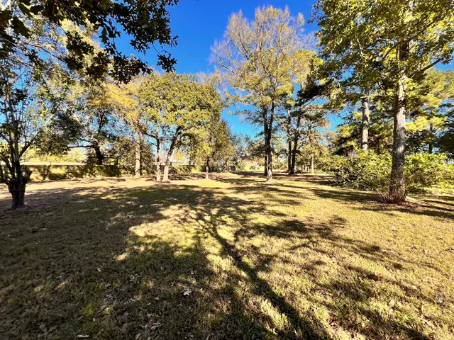 a view of road with large trees