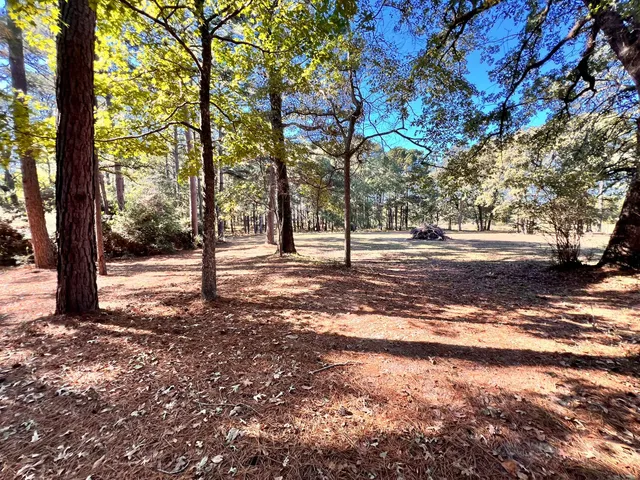 a view of a yard with trees