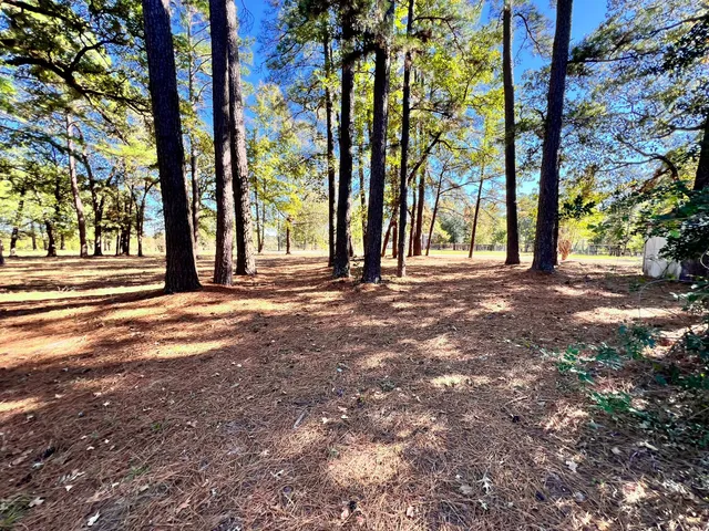 a view of a yard with large trees
