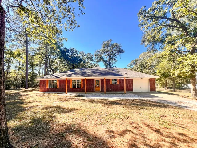 a view of a forest filled with trees