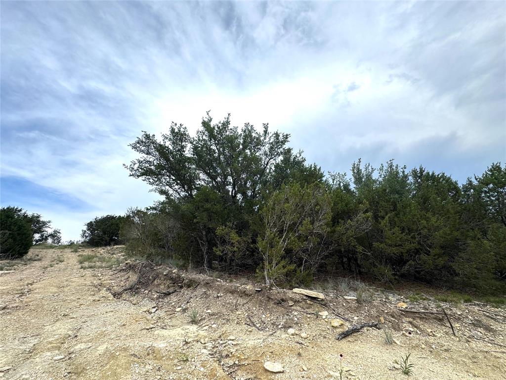 810 Anglers Ridge Bluff Dale, TX 76433 - Photo 15 of 23 a view of a dry yard with trees