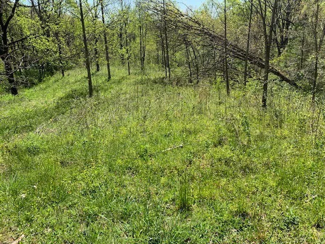 $49,000 | Lot 6 High Meadows, Hayesville, NC 28904