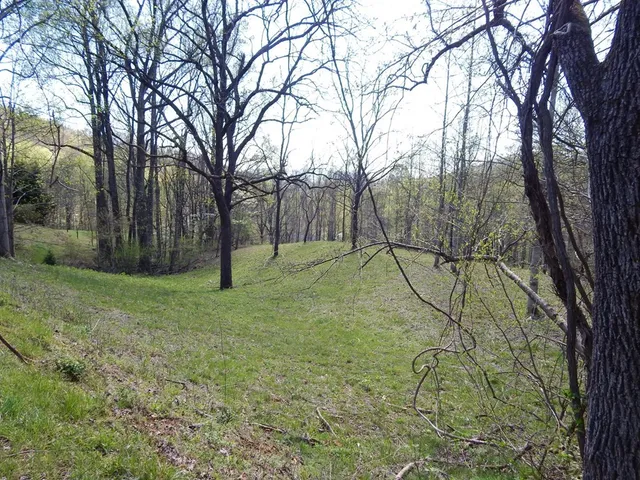 $49,000 | Lot 6 High Meadows, Hayesville, NC 28904