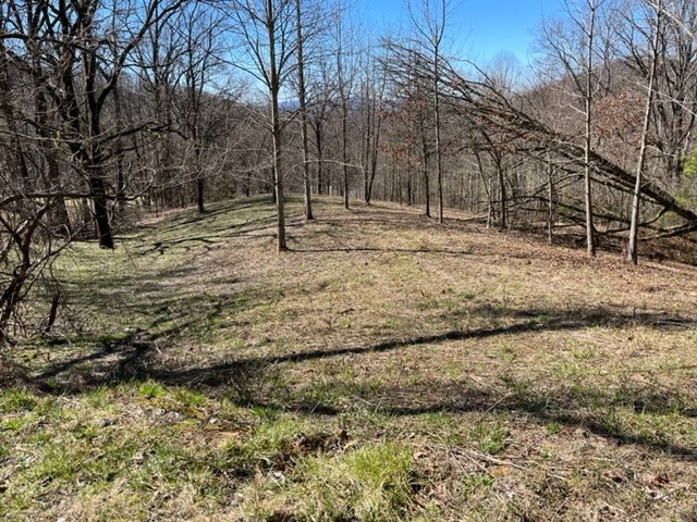 Lot 6 High Meadows Hayesville, NC 28904 - Photo 15 of 27 a backyard of a house with large trees